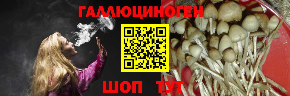 Псилоцибиновые грибы MAGIC MUSHROOMS  Вход с VPN  Кириши 